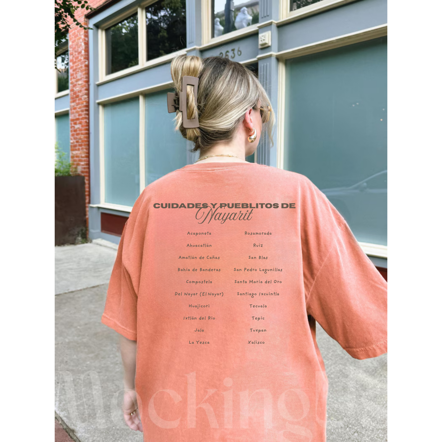 Nayarit Social Club Crewneck • Tee