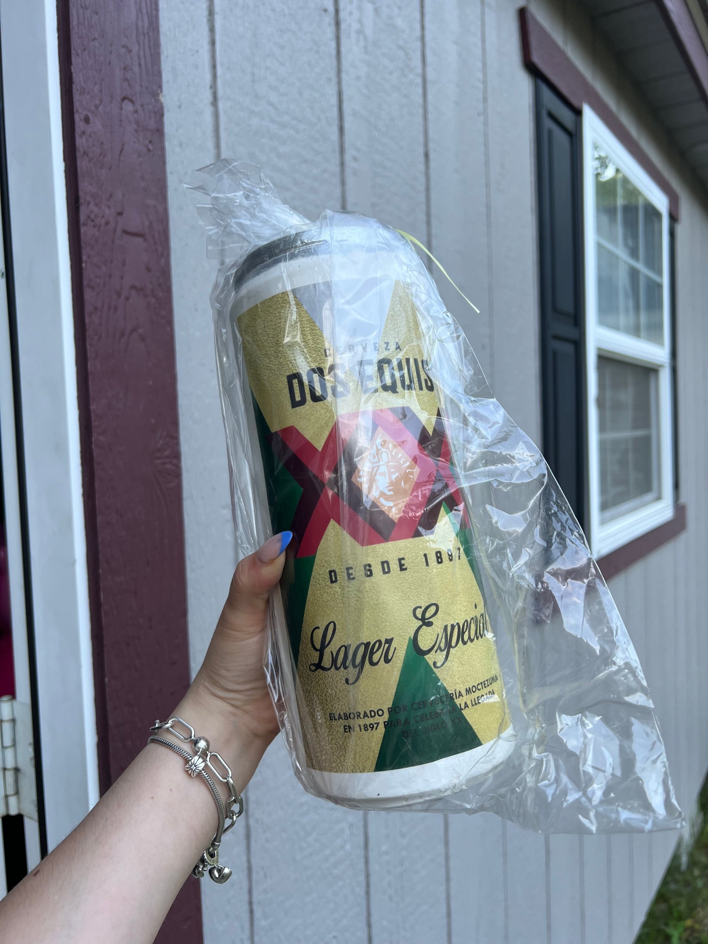 Beer Piggy Bank