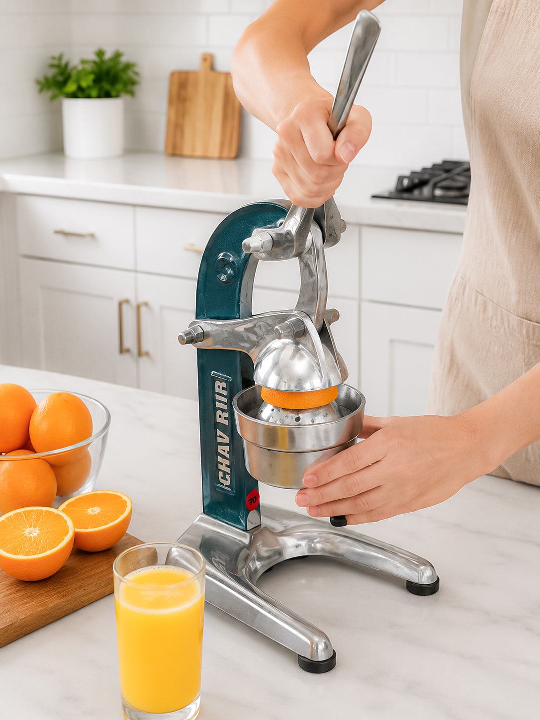 Mexican Citrus Juicer - Large – Artesania Diaz