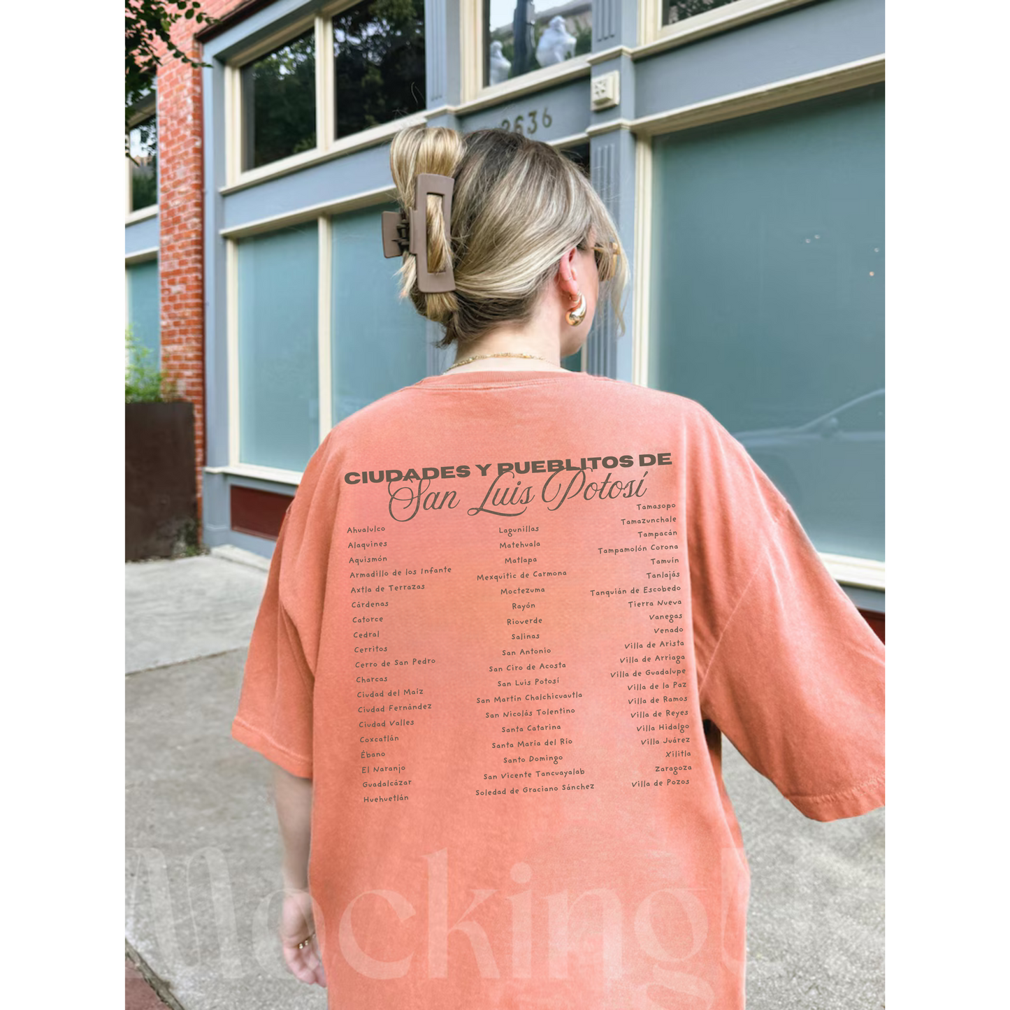SLP San Luis Potosí Social Club Crewneck • Tee