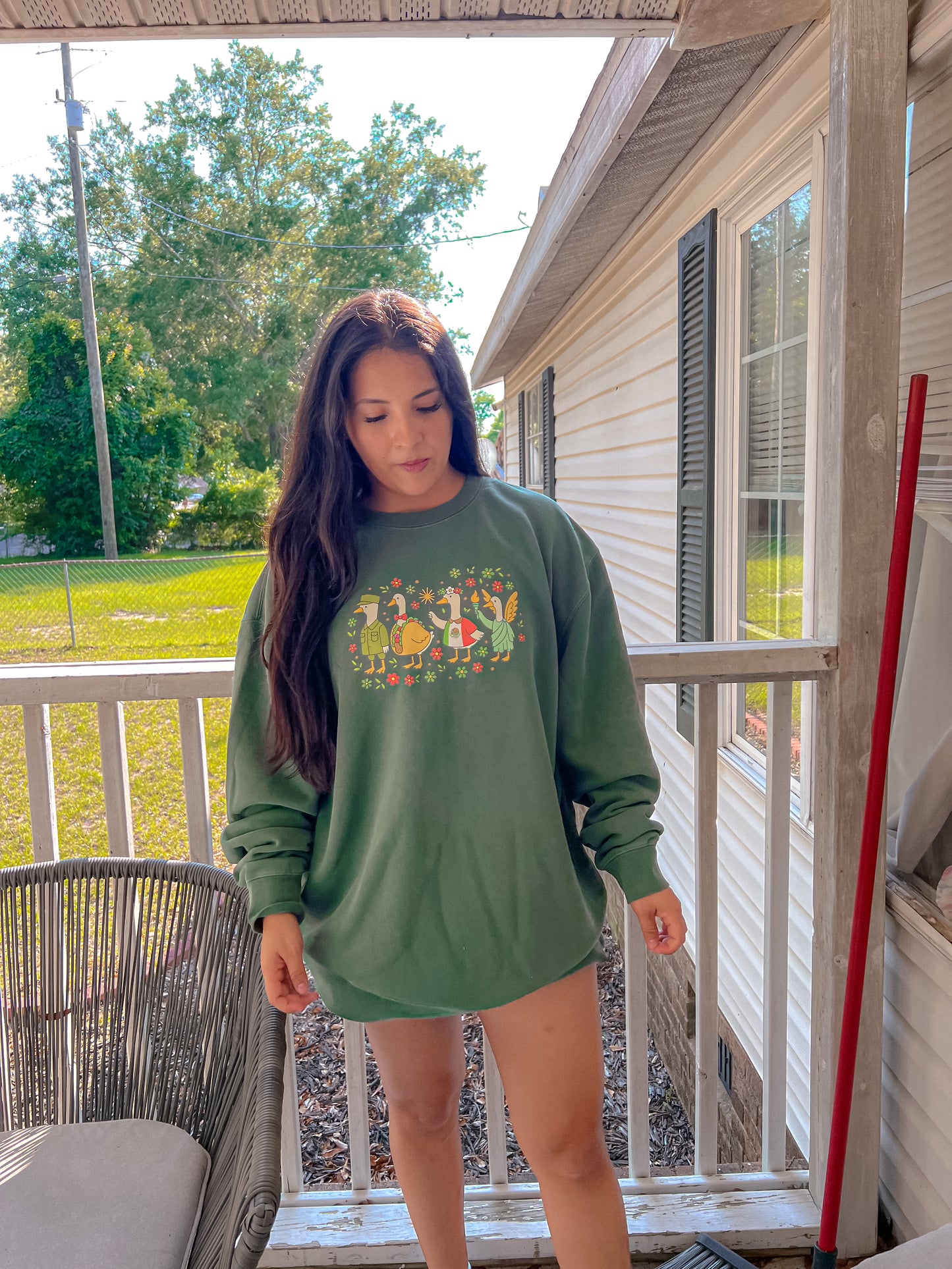 Geese Mexico Crewneck & Tee