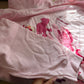 Zacatecas Pink Hoodie 2XL