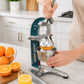 Mexican Citrus Juicer - Large