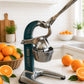 Mexican Citrus Juicer - Large