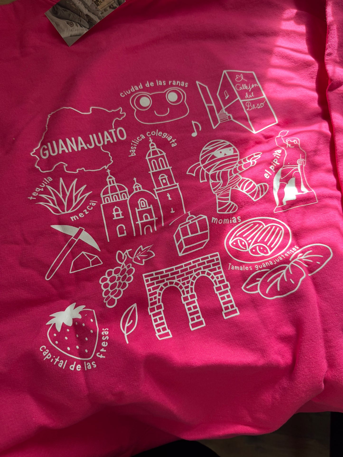 Guanajuato Hibiscus Pink Sweater