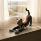 Talavera Stretching Cat Figurine | Hand-Painted Calavera Art