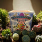 Hand-Painted Frida Kahlo Talavera Pot | Mexican Folk Art Planter