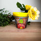 Mini Talavera Flower Pot Set | Colorful Mexican Planters (Set of 3)